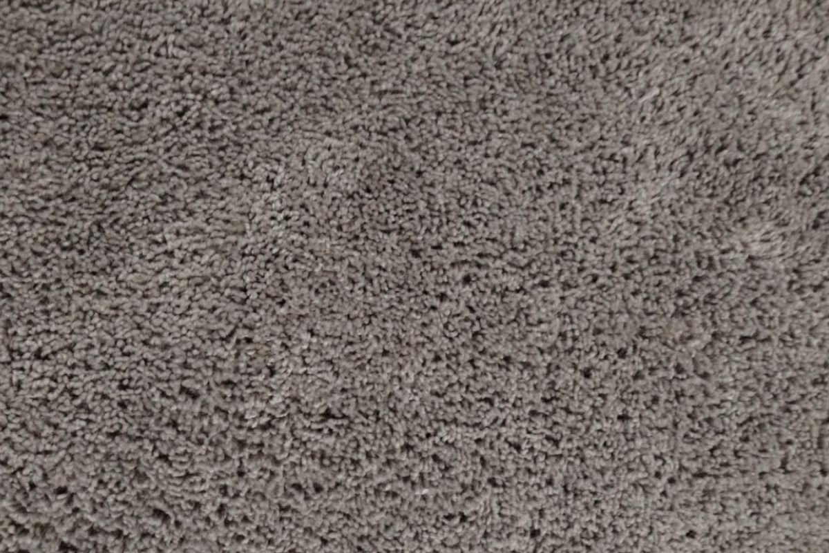 Pet carpet damage repair — after