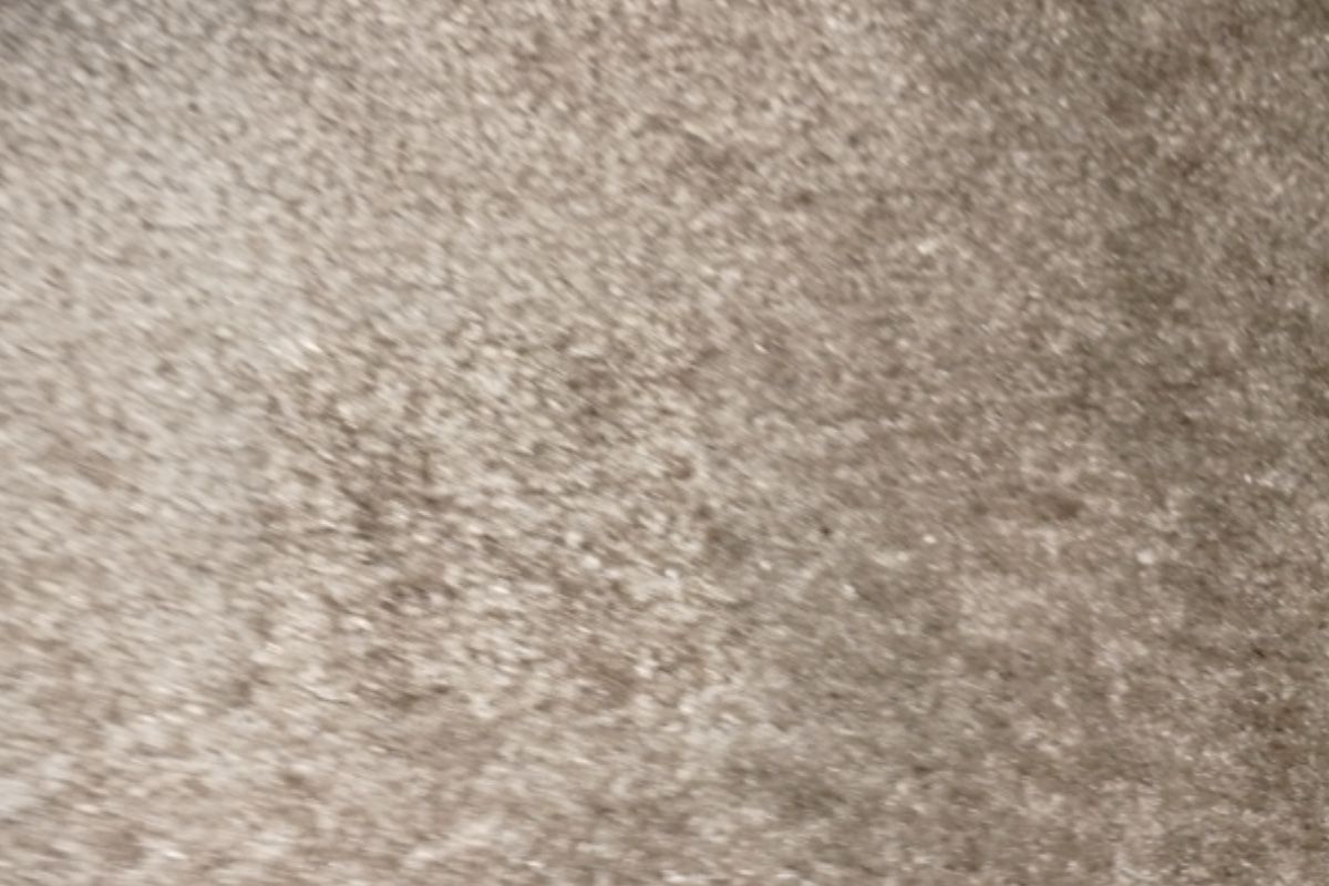 Pet carpet damage repair — after