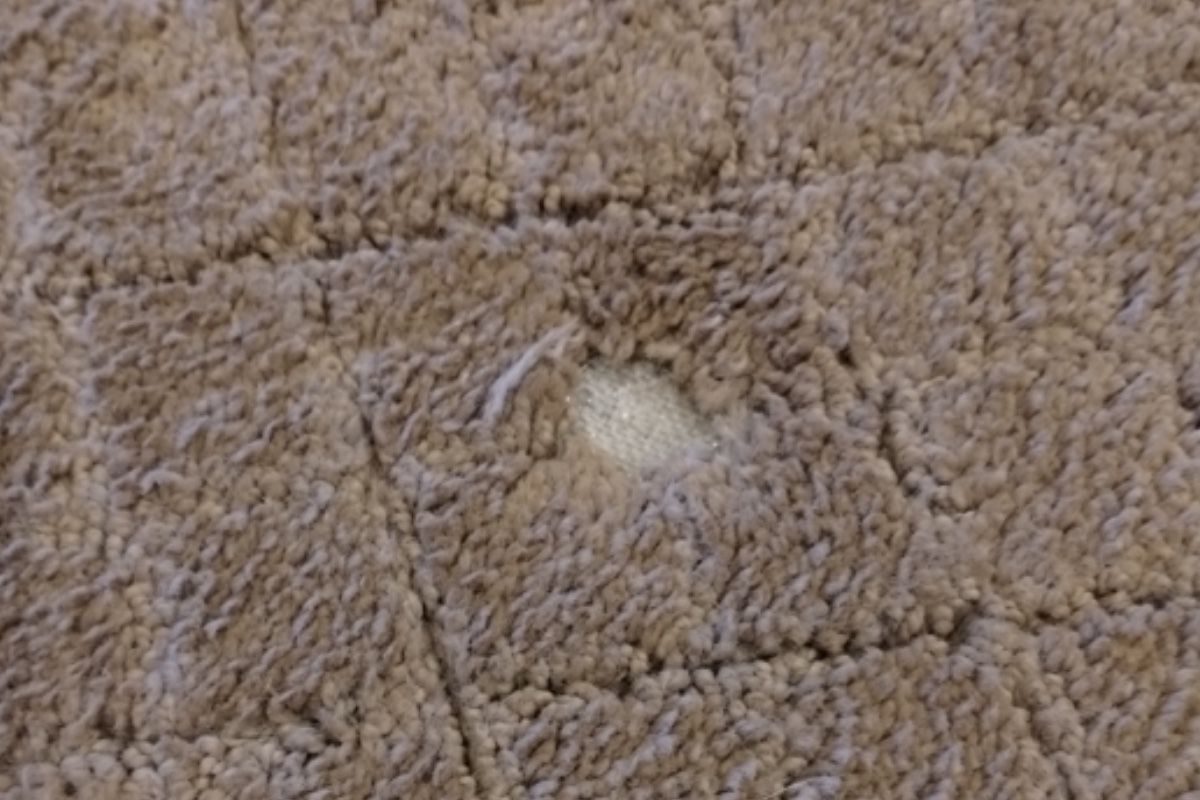 Pet carpet damage repair — before