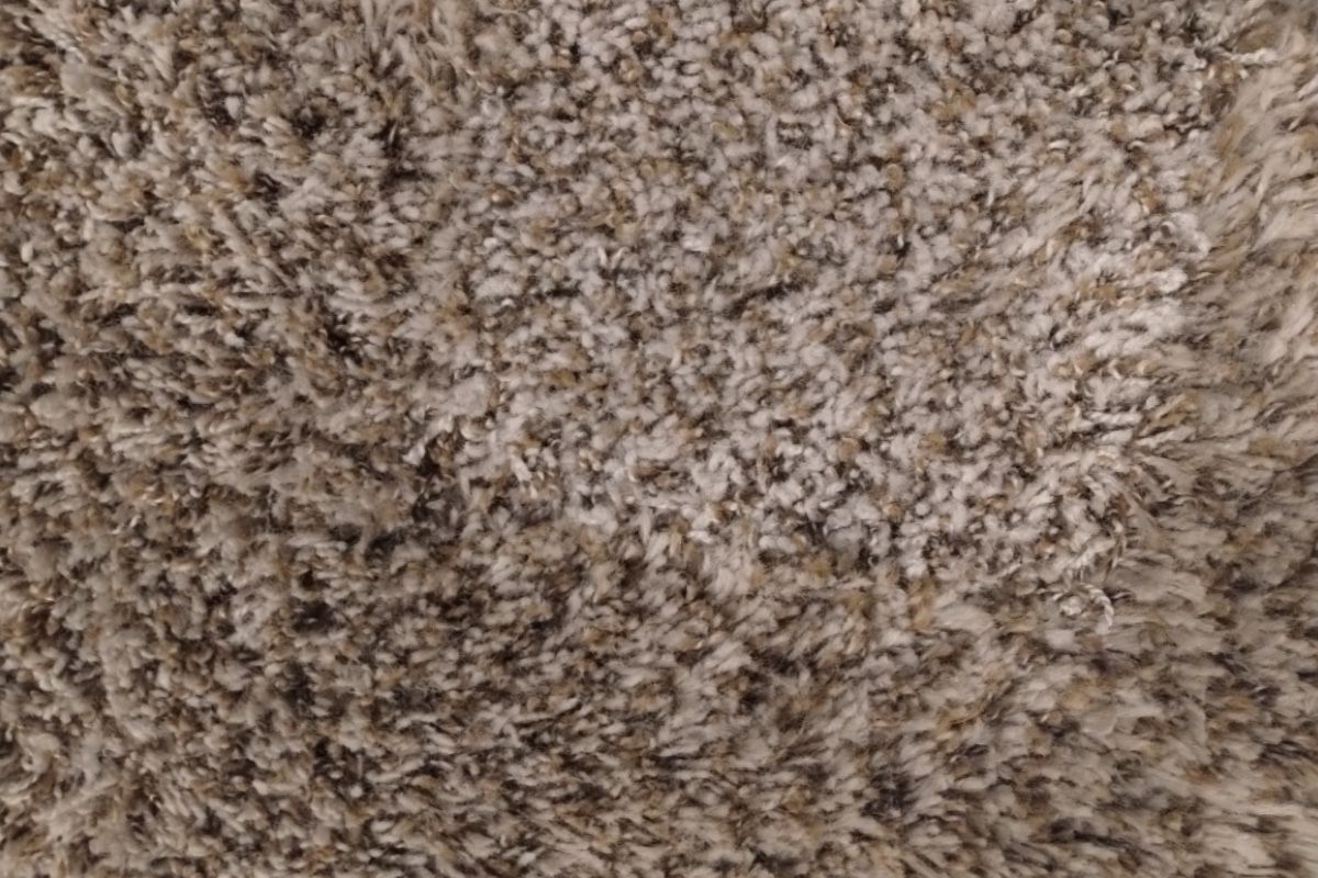 Pet carpet damage repair — after
